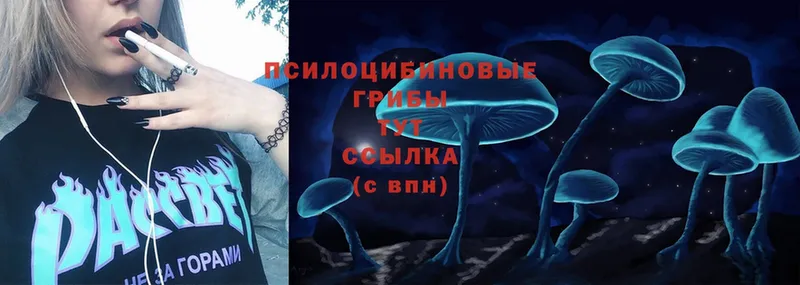 Псилоцибиновые грибы Psilocybe  Нижняя Салда 